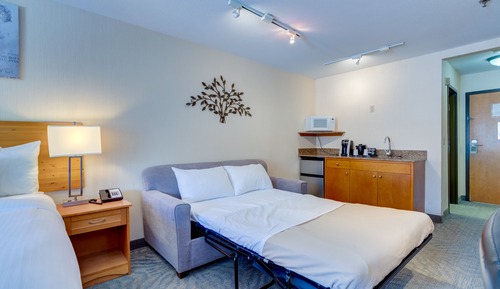 Suite ejecutiva, 1 habitación