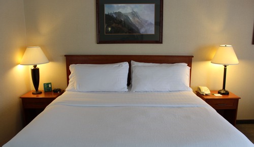 Room, 1 Queen Bed, Non Smoking, Roll-in Shower
