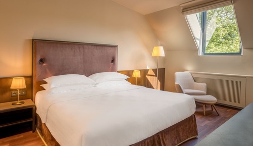 Suite, 1 habitación, vistas al parque