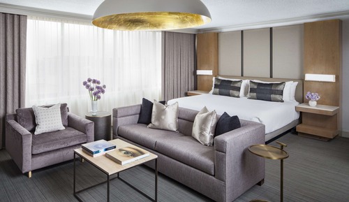 Suite estudio, 1 cama de matrimonio grande (Capitol View)
