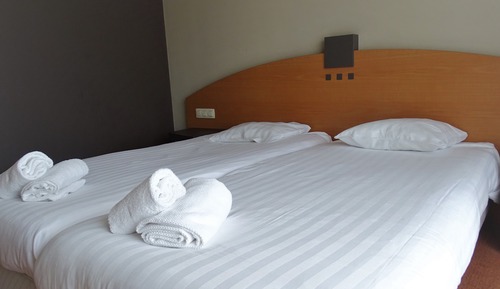 Budget Twin Room