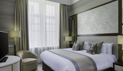 Habitación superior (with King Bed)