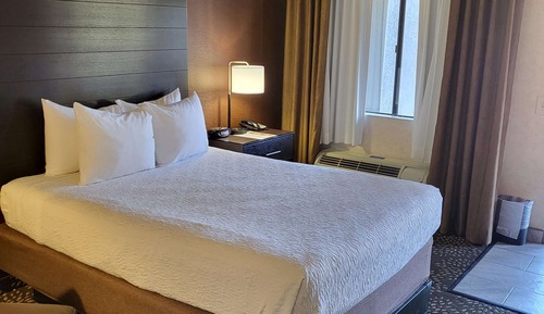 Habitación estándar, 1 cama de matrimonio, accesible para personas con discapacidad (Walk-in Shower)