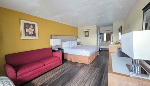 Habitación individual Premium, 1 cama de matrimonio grande, no fumadores, baño privado