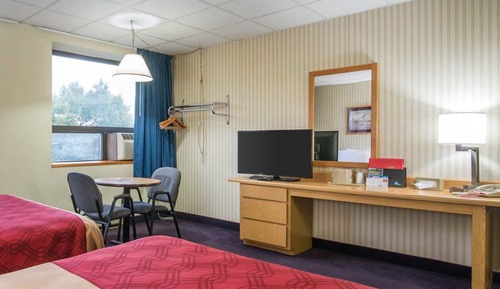 Habitación estándar, 2 camas de matrimonio, no fumadores