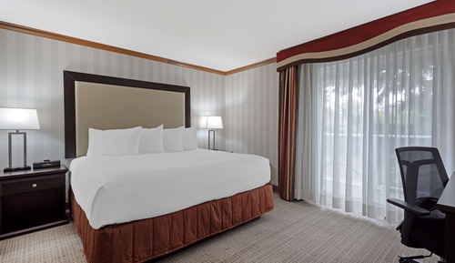 Habitación estándar, 1 cama de matrimonio grande, no fumadores, bañera de hidromasaje