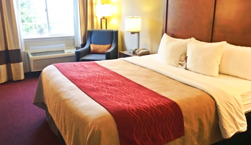 Habitación estándar, 1 cama de matrimonio grande, no fumadores