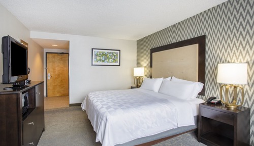 Habitación estándar, 1 cama de matrimonio grande