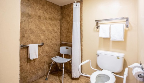 Habitación, 1 cama de matrimonio grande, accesible para personas con discapacidad (Efficiency)