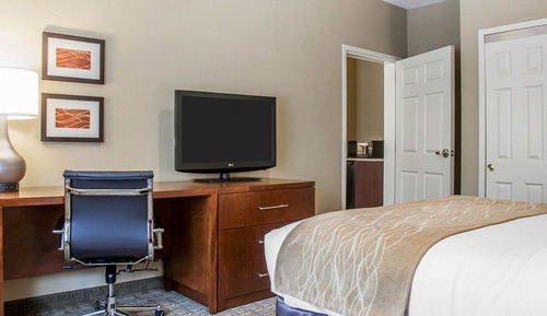 Suite Estudio Business, 1 cama de matrimonio grande, no fumadores