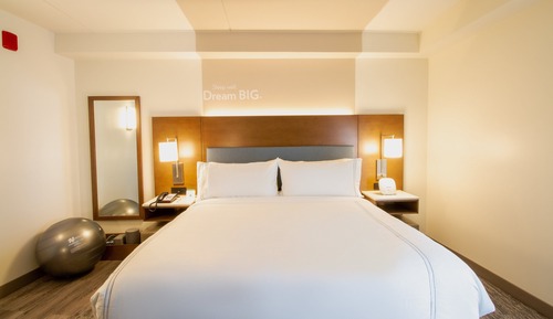 Suite, 1 cama de matrimonio grande con sofá cama