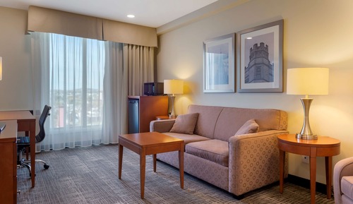 Suite ejecutiva, 1 cama de matrimonio grande, no fumadores, frigorífico y microondas (with Sofabed)