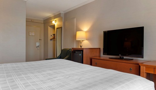 Habitación estándar, 1 cama de matrimonio grande, no fumadores, frigorífico