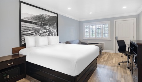 Junior Studio Suite, 1 King Bed sofabed not included