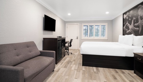 Basic Room, 1 King Bed, Accessible Bathtub, Sofabed not included