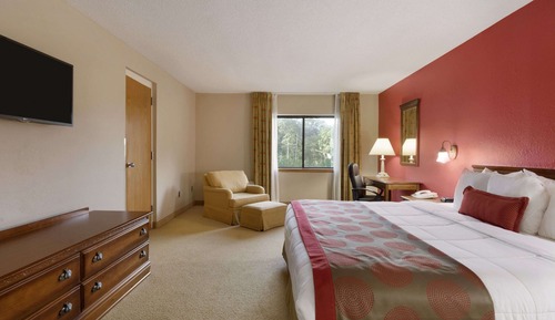 Suite, 1 cama de matrimonio grande