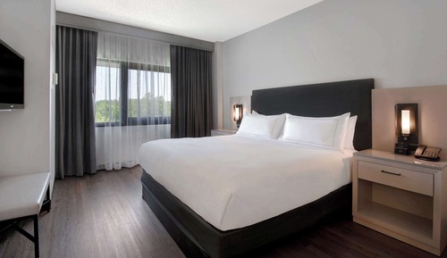 Suite, 1 cama de matrimonio grande, accesible