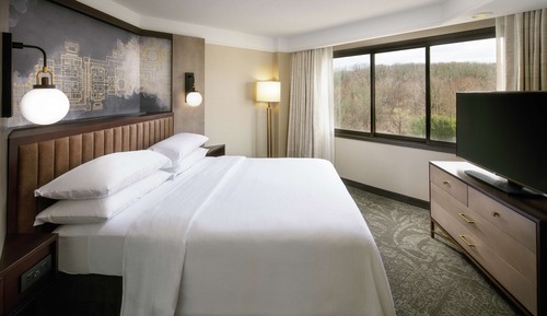2 Room Suite, 1 King Bed, Shower
