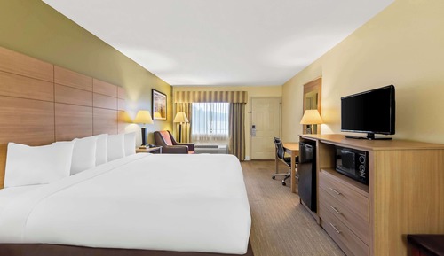 Habitación estándar, 1 cama de matrimonio grande, no fumadores, frigorífico y microondas
