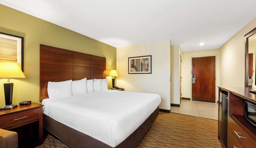Habitación estándar, 1 cama de matrimonio grande, frigorífico y microondas (Walk-in Shower)