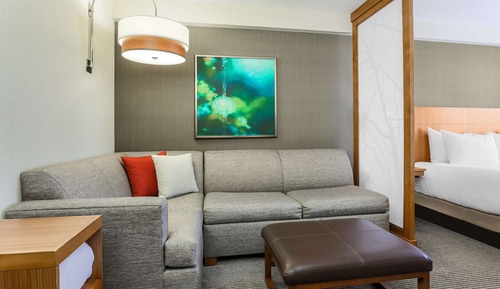 Habitación estándar, 1 cama de matrimonio grande con sofá cama