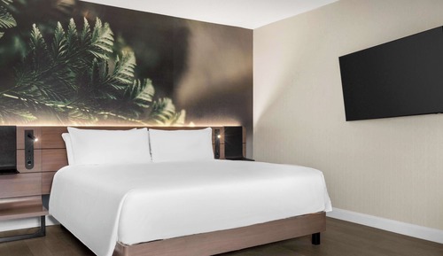 Suite junior (Executive)