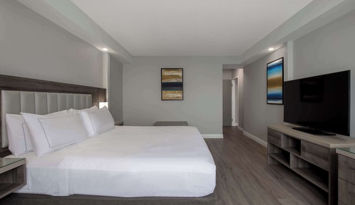 Suite, 1 cama de matrimonio grande