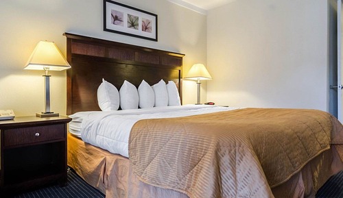Habitación estándar, 1 cama de matrimonio grande, no fumadores