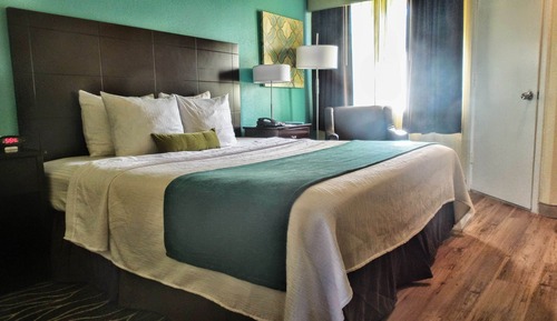 Suite, 1 cama de matrimonio grande, no fumadores (Shower Only;with Sofabed)