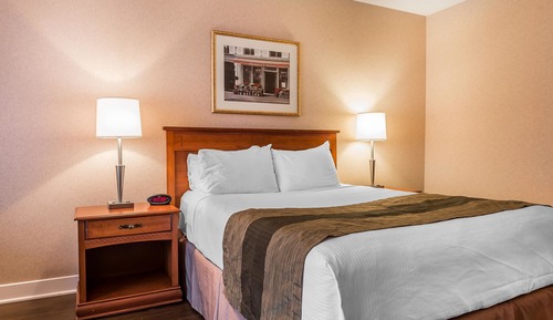 Habitación estándar, 1 cama de matrimonio grande, no fumadores