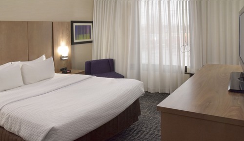 Suite, 1 cama de matrimonio grande con sofá cama