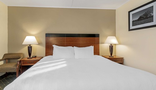 Habitación estándar, 1 cama de matrimonio grande, no fumadores, frigorífico y microondas