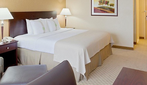 Estudio básico, 1 cama de matrimonio grande