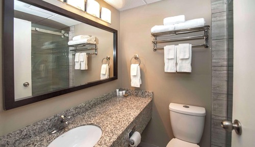 Habitación estándar, 1 cama de matrimonio grande, no fumadores, bañera de hidromasaje