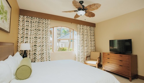 One Bedroom Deluxe 1 King