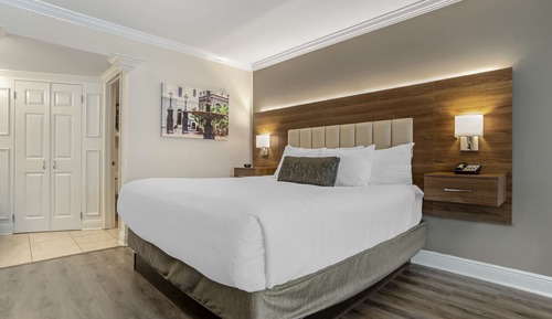 Habitación estándar, 1 cama de matrimonio grande, no fumadores, frigorífico y microondas