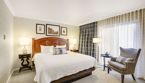 Habitación Premium, 1 cama de matrimonio grande