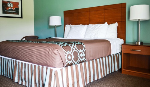 Habitación estándar, 1 cama de matrimonio grande, no fumadores, frigorífico y microondas