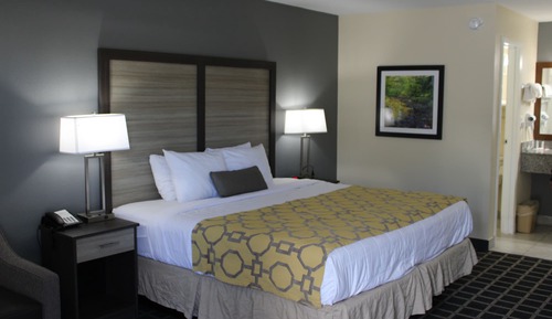 Room, 1 King Bed, Non Smoking