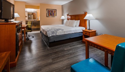 Habitación estándar, 1 cama de matrimonio grande, fumadores, frigorífico y microondas (Pet Friendly)