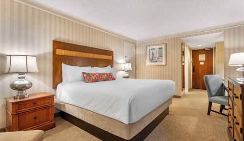 Suite, 1 cama de matrimonio grande (Bayfront Omni Suite)