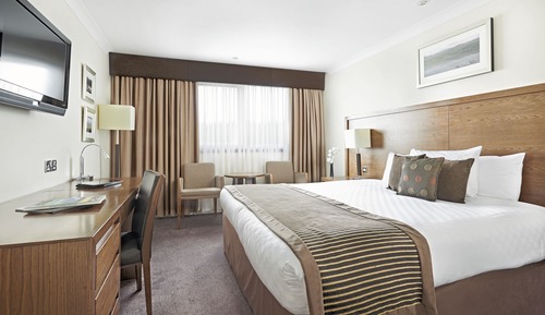 Habitación Premium, 1 cama de matrimonio grande