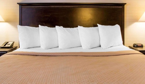 Habitación estándar, 1 cama de matrimonio grande, no fumadores