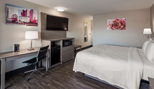 Habitación estándar, 1 cama de matrimonio grande, no fumadores, frigorífico y microondas