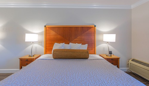 Habitación estándar, 1 cama de matrimonio grande, no fumadores