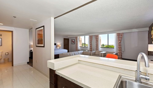 Suite junior, 1 cama de matrimonio grande (Parlor)