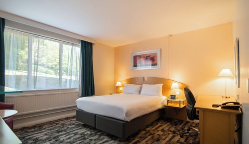 Habitación estándar, 1 cama doble, accesible para personas con discapacidad