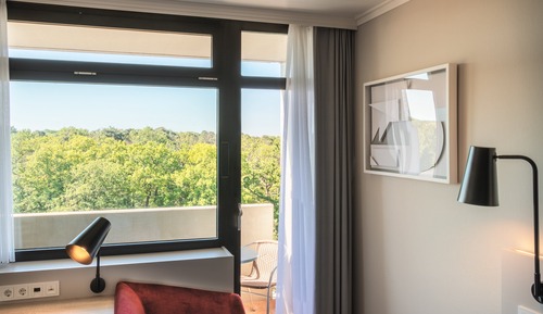 Habitación estándar, 1 cama de matrimonio (Furnished Balcony)