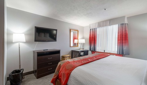 Suite, 1 cama de matrimonio grande, no fumadores (One-Bedroom)