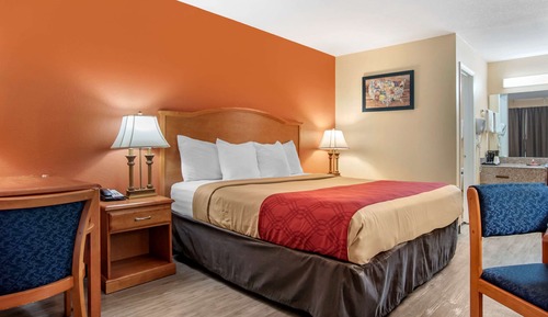 Habitación estándar, 1 cama de matrimonio grande, no fumadores